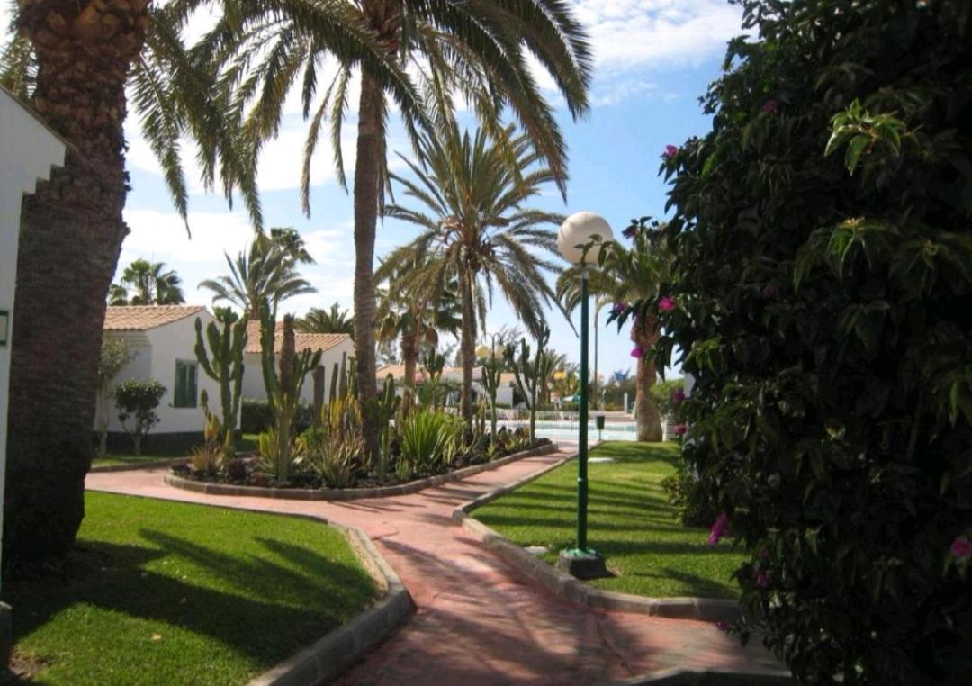 Maspalomas Dunas Golf מראה חיצוני תמונה