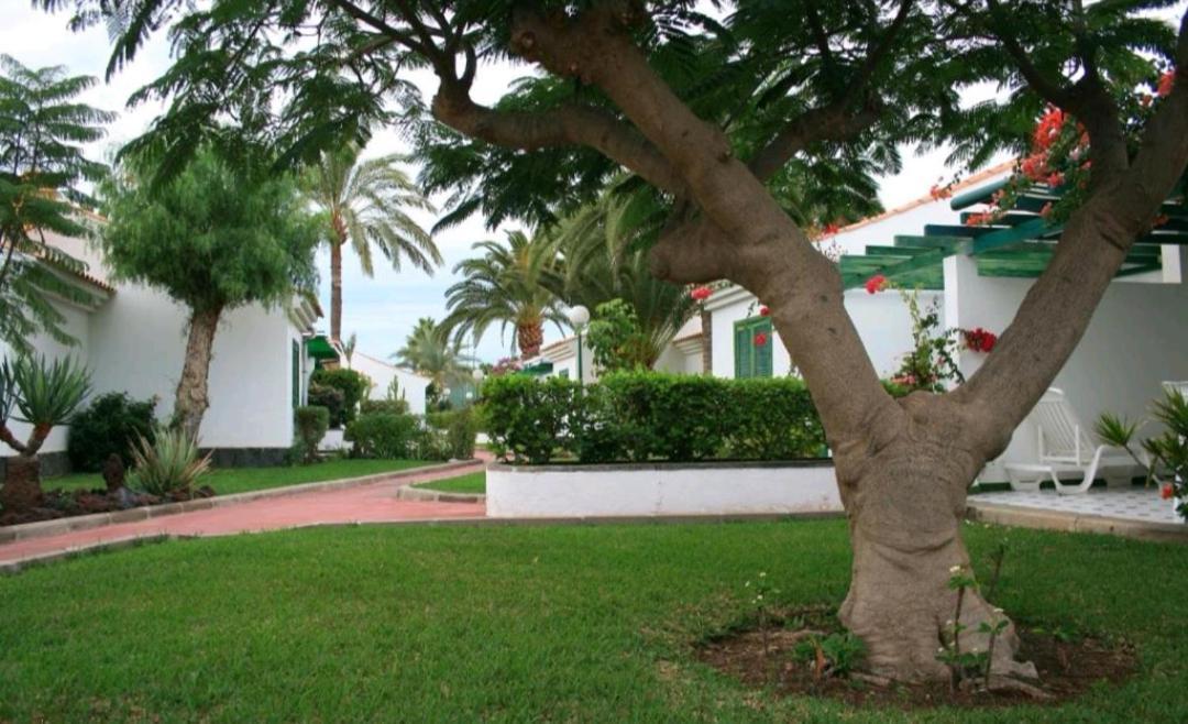 Maspalomas Dunas Golf מראה חיצוני תמונה